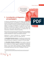 Protocolo de Diagnostico e Intervención PSP