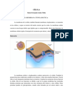Célula PDF