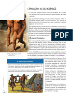 2do Trabajo Historia 1° Año PDF