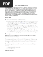 Clarification on CPT Codes 22845 and 22853 | PDF | Vertebral Column ...
