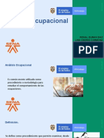 Analisis Ocupacional