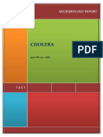 Cholera: Microbiology Report