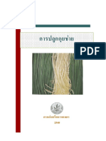 การปลูกกุยช่าย PDF