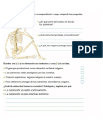 Ficha Del Sistema Respiratorio y La Respiración