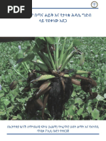 የሳጥናኤል ጎል በኢትዮጵያ | PDF
