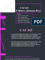 CACAO Información Gral