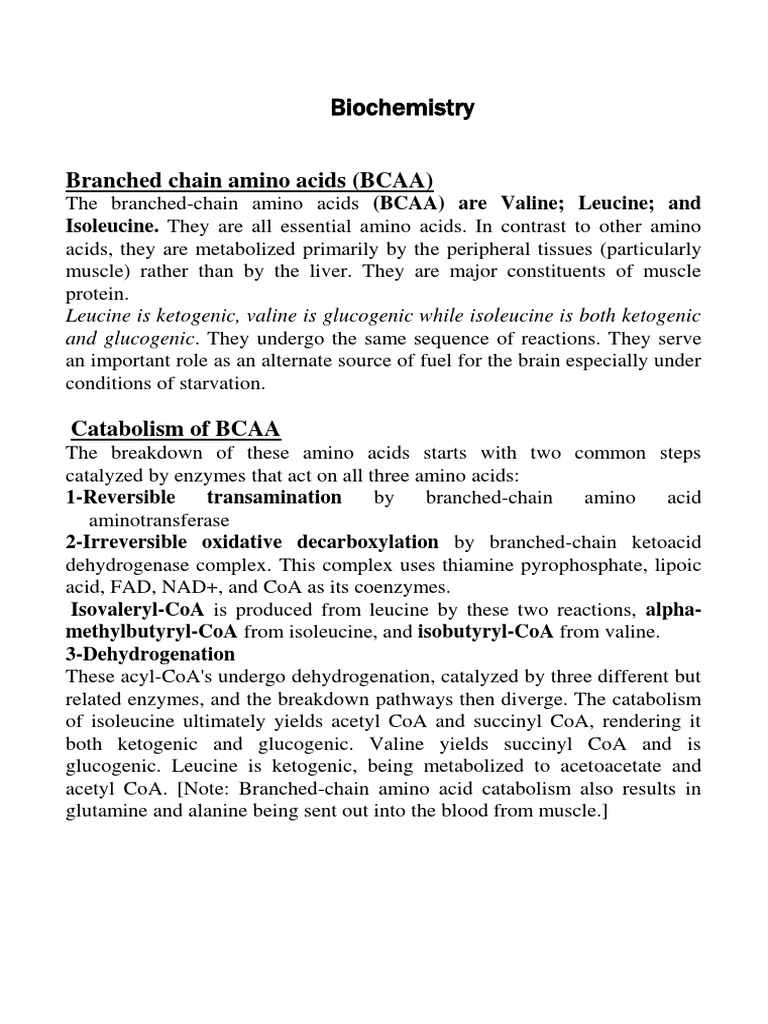 6Branch Chain Amino Acids PDF