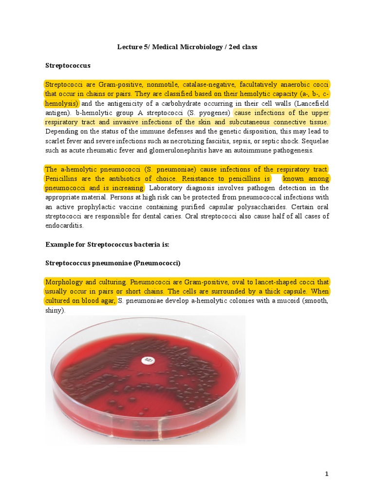 lecture-5-medical-microbiology-2ed-class-streptococcus-pdf