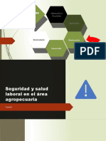 02 Seguridad y Salud Laboral 2020