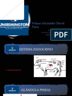 Sistema Endocrino