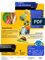 INFOGRAFÍA 