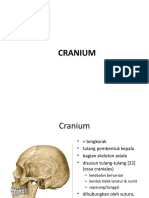 Cranium - 2016