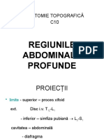 C10 Regiunile Abdominale Profunde