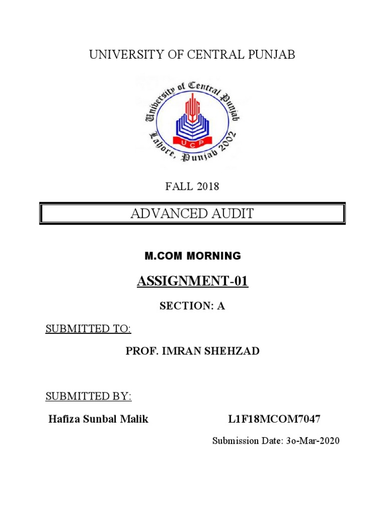 Advanced Audit | PDF | Audit | Internal Control