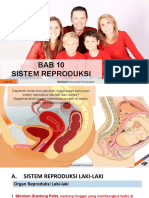 BAB 10 Sistem Reproduksi