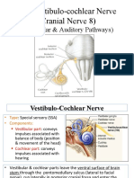 Cranial Nerve 8 (Vestibulo-Cochlear)