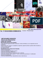 Macroparasite PDF