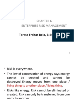 Chapter 6enterprise Risk Management