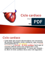 ciclocardiacoanatomia-111020023914-phpapp01.pdf