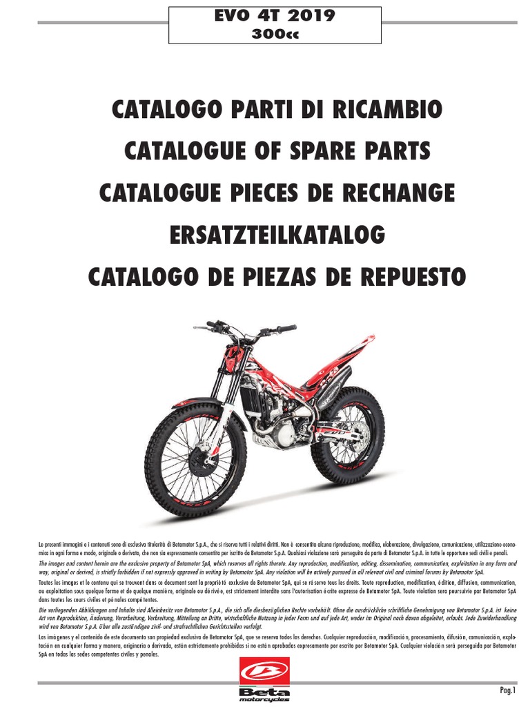 Evo 4T 300 2019 Rev00-Compressed | PDF