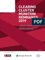 NPA Cluster Munition Remnants 2019 WEB