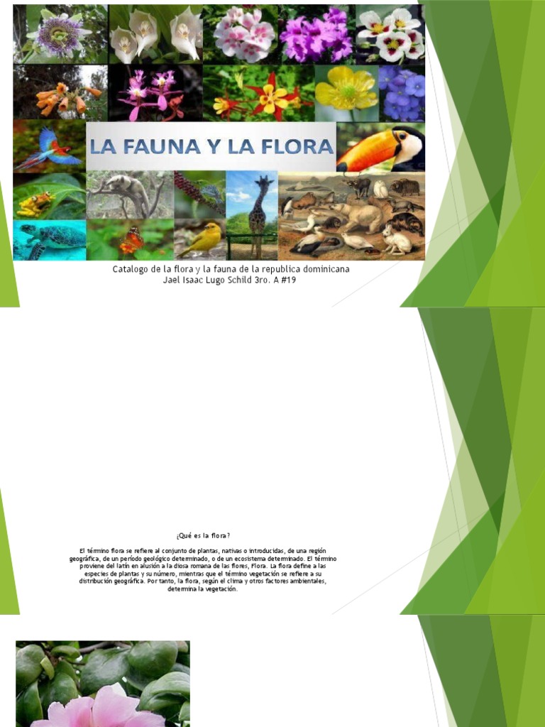 Catalogo de La Flora y La Fauna de La República Dominicana | PDF