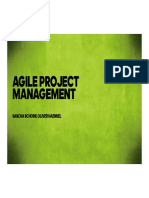 Agile Project Management: Sascha Schorr, Oliver Haensel