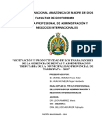 Motivación y Productividad Puerto Maldonado Internacional Tesis