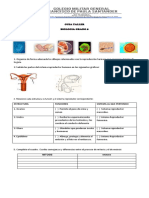 E0dfc8 PDF