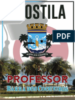 Apostila - Barra Dos Coqueiros - Professor PDF