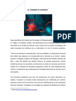 El Cerebro Al Desnudo PDF