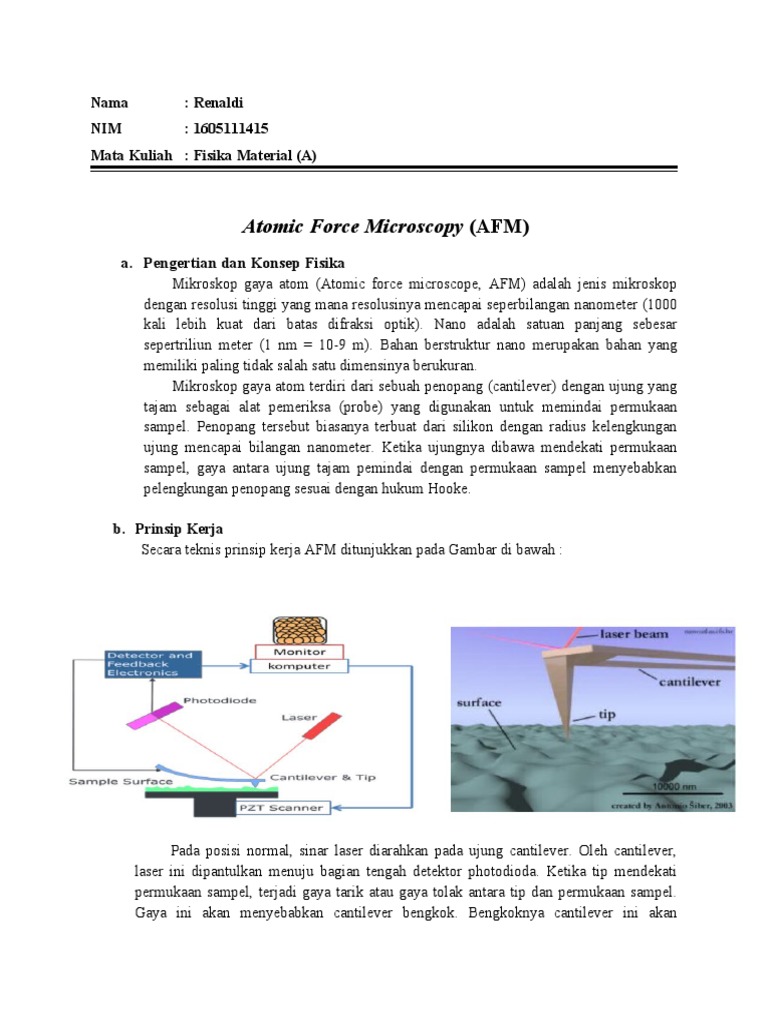 Afm, TPM, SPM | PDF