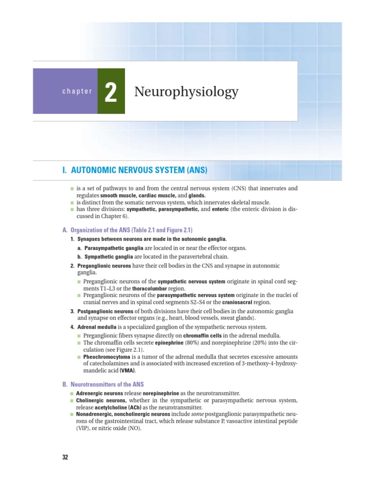 Autonomic Nervous System Overview | PDF | Acetylcholine | Autonomic ...