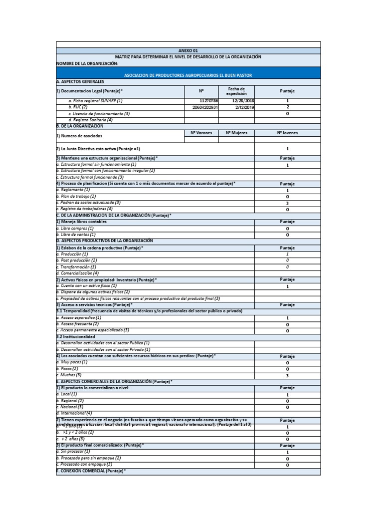 Modelo de Formatos Pia 2019 | PDF | Economias | Business