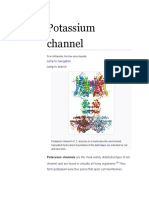 Potassium Channels in Arabidopsis