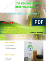 Examen Avena Con Yogurt Natural y Mermelada