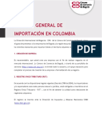 Guía Práctica Proceso de Importación de Bienes.pdf