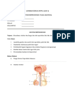 LKS Sistem Reproduksi