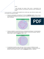 Resumo Genetica