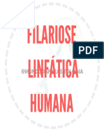 FILARIOSE LINFÁTICA HUMANA (1)