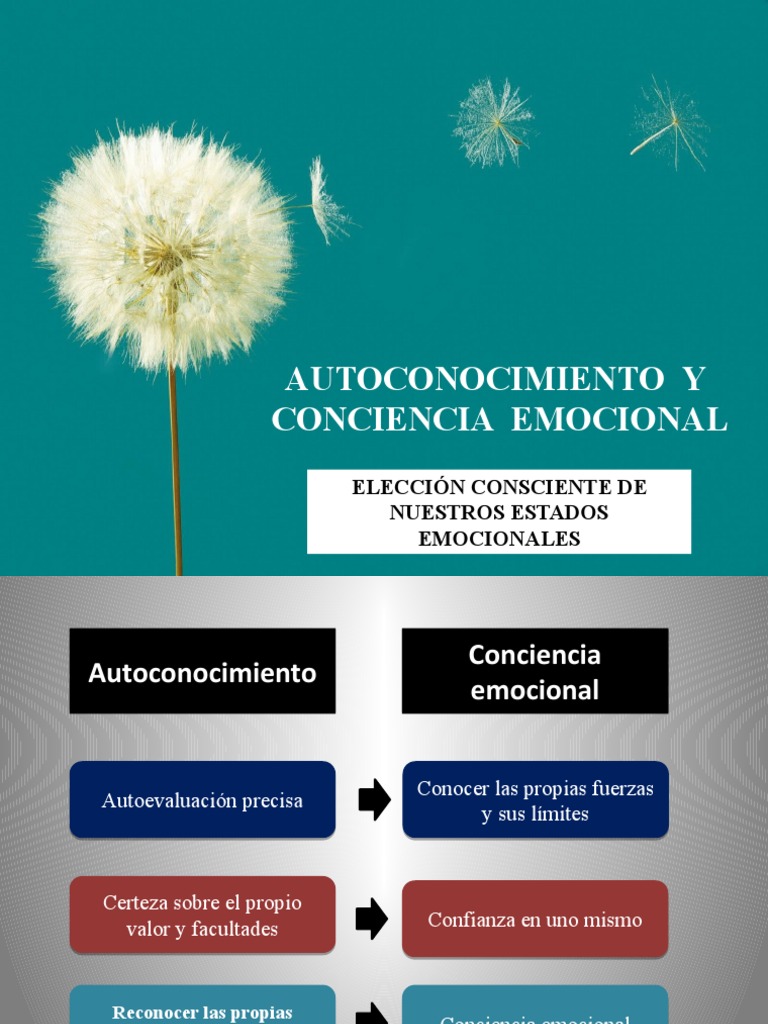 Autoconocimiento y Conciencia Emocional | PDF | Las emociones ...