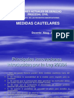 Las Medidas Cuatelares PDF