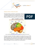 Lectura semana 3.pdf