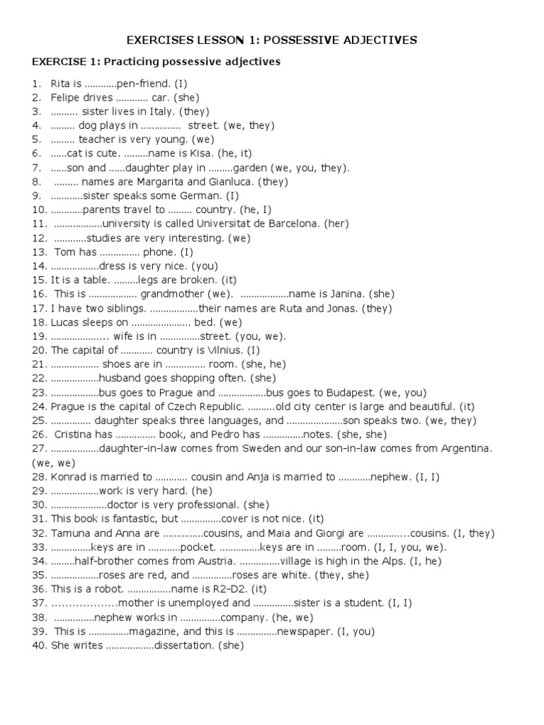 Practice Exercises for Possessive Adjectives | PDF