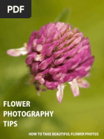 Download Flower Photography Tips - How to Take Beautiful Flower Photos by Photography Tips SN46553899 doc pdf