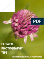 Download FlowerPhotographyTips-HowtoTakeBeautifulFlowerPhotosbyPhotographyTipsSN46553899 doc pdf