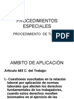 Procedimientos Especiales