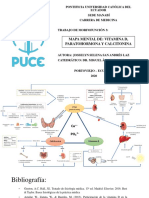 Mapa Mental Paratohormona Calcitonina Vit D PDF