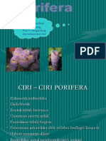 Materi Porifera