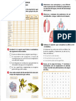 guia-2 de biologia de 1001.pdf